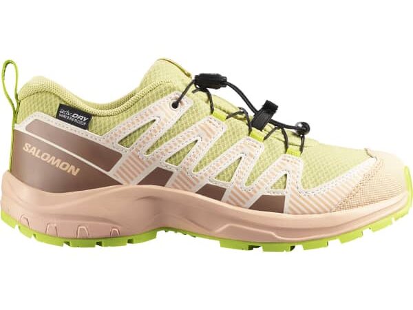 SALOMON XA PRO V8 WP J