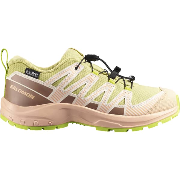 SALOMON XA PRO V8 WP J