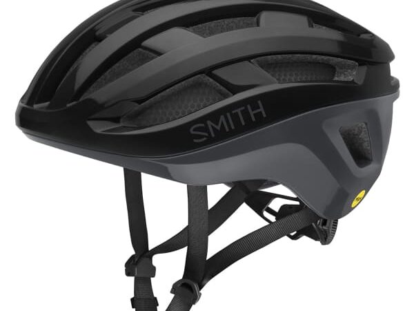 SMITH PERSIST 2 MIPS