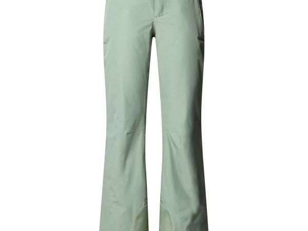 THE NORTH FACE DESCENDIT PANT W