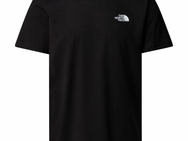 THE NORTH FACE M BOX NSE RAKU HORSE INFILL SS TEE