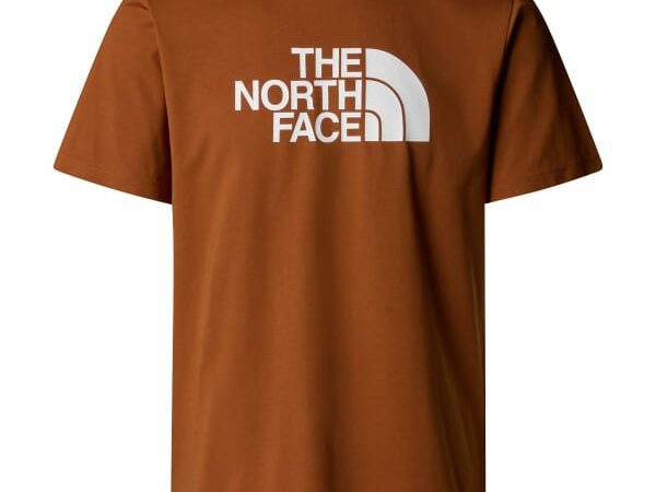 THE NORTH FACE M SS EASY TEE