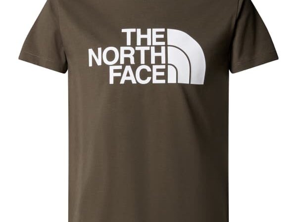THE NORTH FACE TEEN EASY REGULAR SS TEE