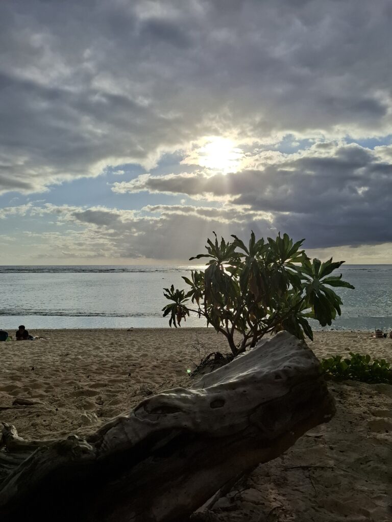 Diagonale des Fous 2025 : guide complet section par section