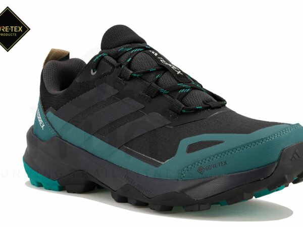 adidas Terrex Skychaser AX5 Gore-Tex Chaussures homme