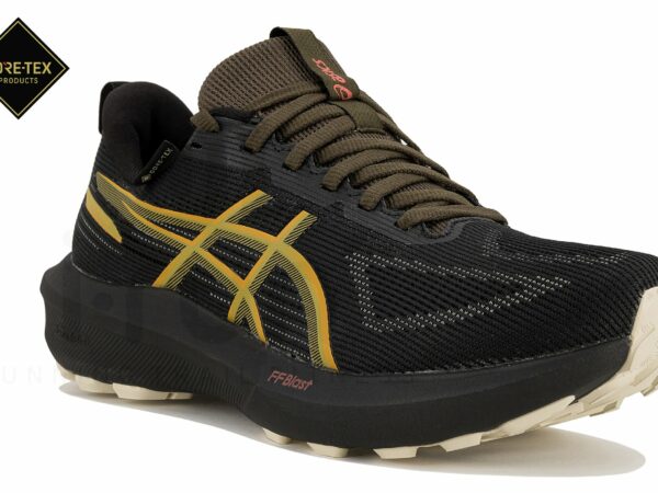 Asics GT-1000 14 Gore-Tex