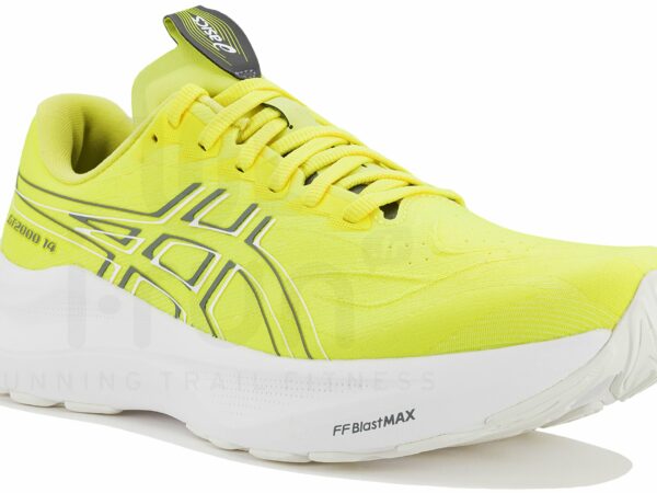 Asics GT-2000 14