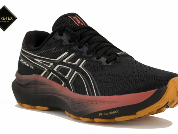 Asics GT-2000 14 Gore-Tex