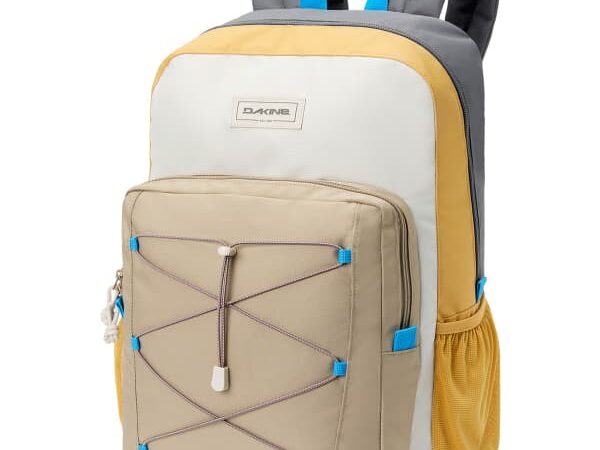 DAKINE EDUCATED 30L BACKPACK