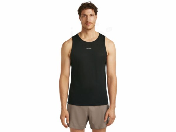 Icebreaker Mérinos 125 Cool-Lite Speed vêtement running homme