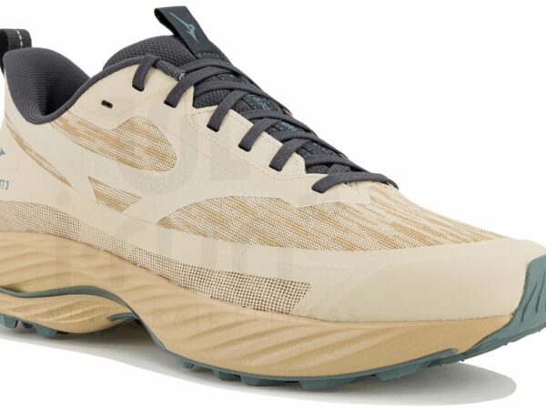Mizuno Wave Rider TT 3