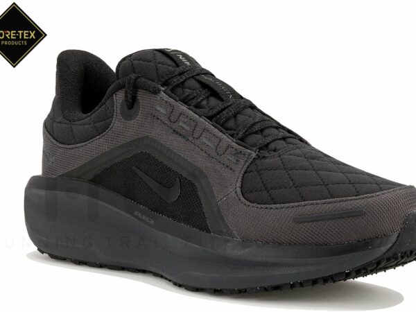 Nike Air Winflo 11 Gore-Tex