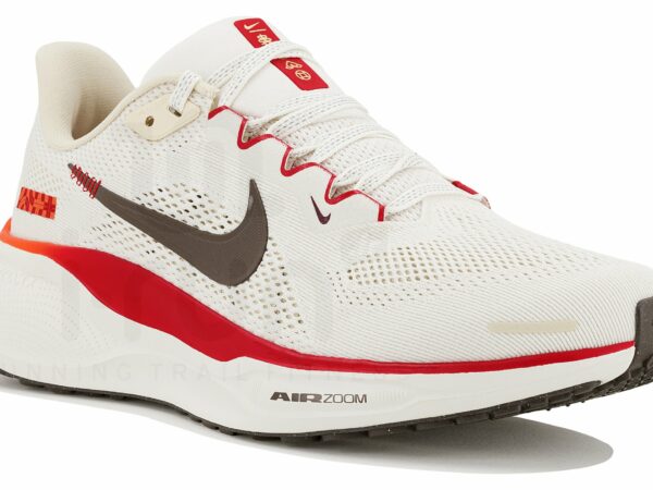 Nike Pegasus 41