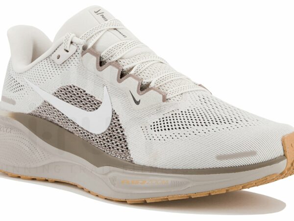 Nike Pegasus 41 Chaussures de sport femme