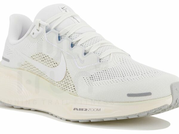 Nike Pegasus 41 ESS Chaussures de sport femme