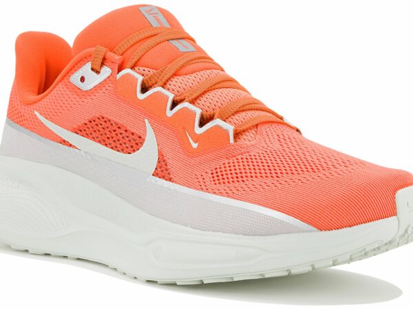 Nike Pegasus 41 Premium Chaussures homme déstockage
