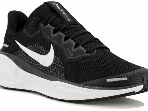 Nike Pegasus 41 Chaussures homme