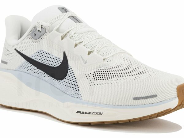 Nike Pegasus 41 Chaussures homme déstockage