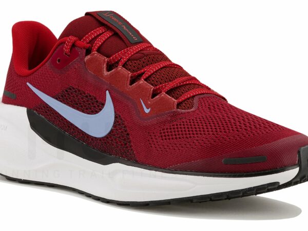 Nike Pegasus 41 Chaussures homme