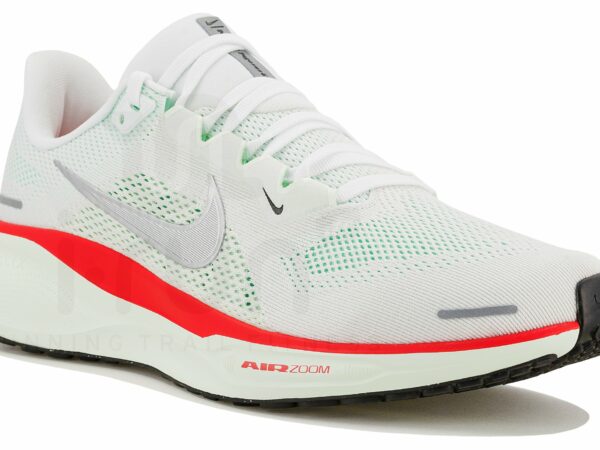 Nike Pegasus 41
