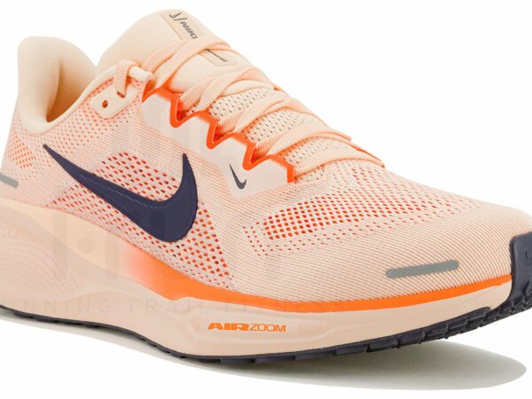 Nike Pegasus 41 Chaussures homme déstockage