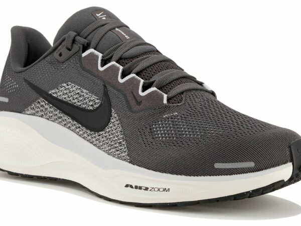 Nike Pegasus 41 Chaussures homme