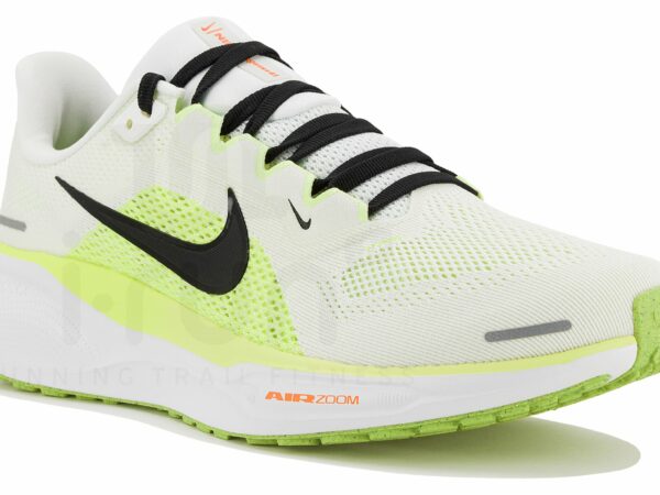 Nike Pegasus 41 Chaussures homme