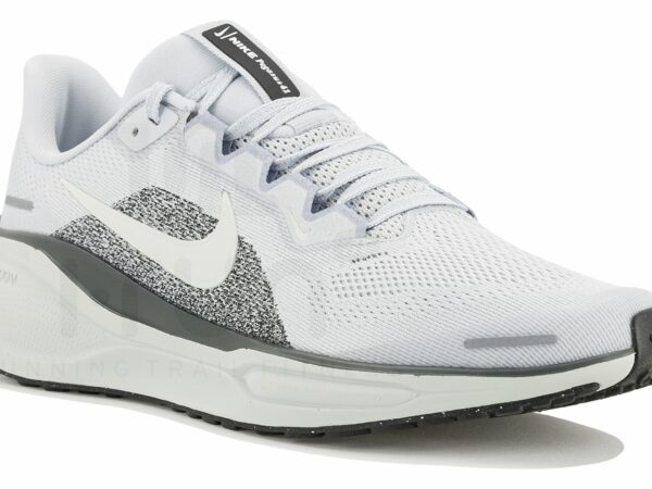 Nike Pegasus 41
