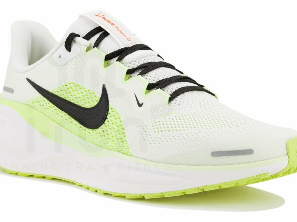 Nike Pegasus 41 Chaussures homme