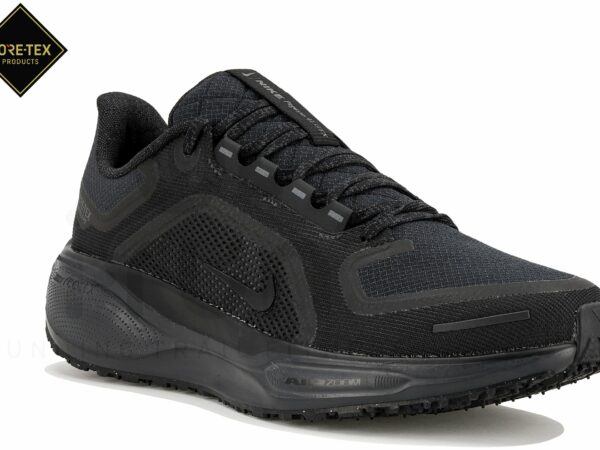 Nike Pegasus 41 Gore-Tex Chaussures homme