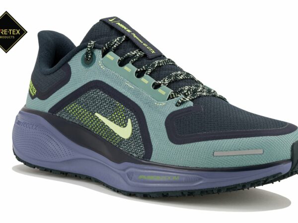 Nike Pegasus 41 Gore-Tex Chaussures homme