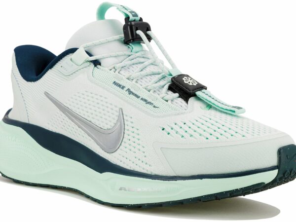 Nike Pegasus EasyOn Chaussures de sport femme