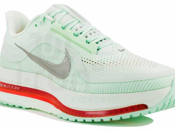 Nike Pegasus Premium Chaussures homme déstockage