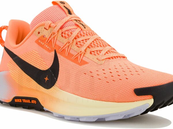 Nike Pegasus Trail 5 Chaussures homme