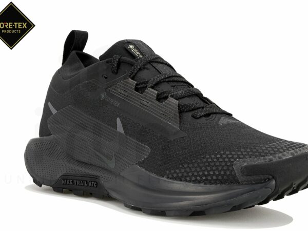 Nike Pegasus Trail 5 Gore-Tex Chaussures de sport femme