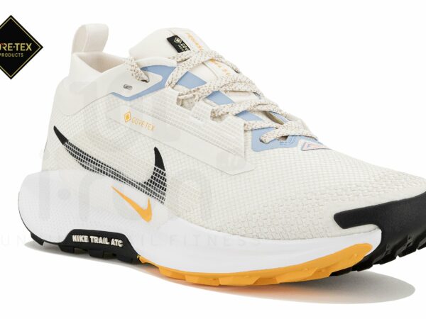 Nike Pegasus Trail 5 Gore-Tex Chaussures de sport femme déstockage