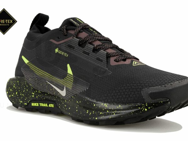 Nike Pegasus Trail 5 Gore-Tex
