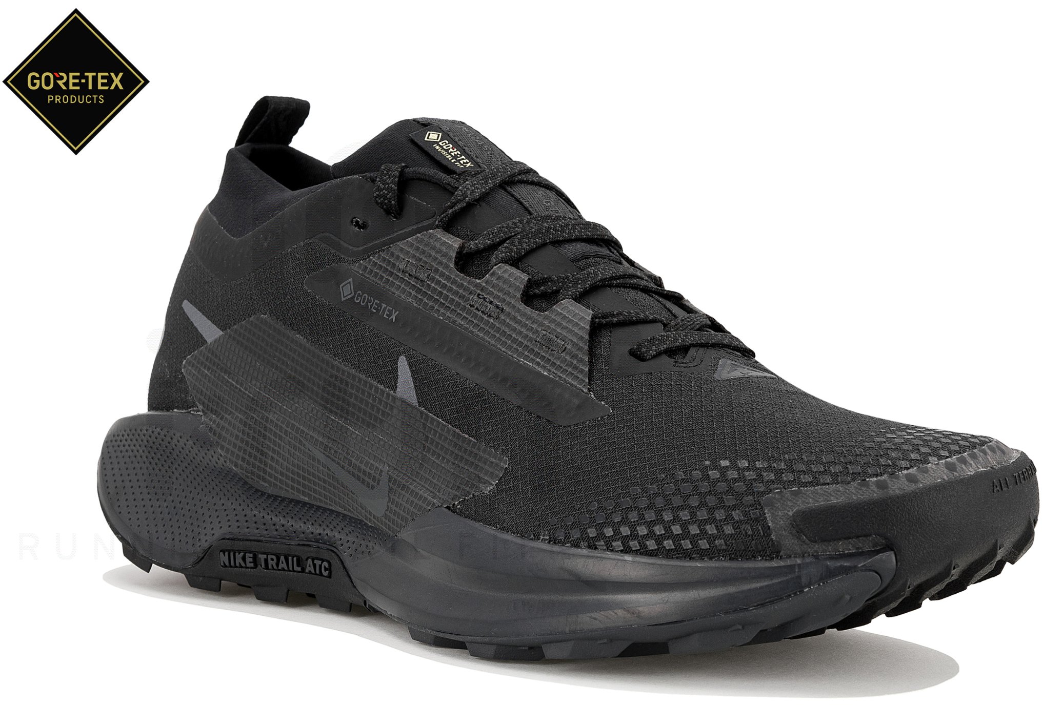 Nike Pegasus Trail 5 Gore-Tex Chaussures homme
