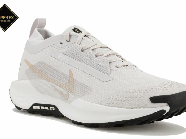 Nike Pegasus Trail 5 Gore-Tex Chaussures homme