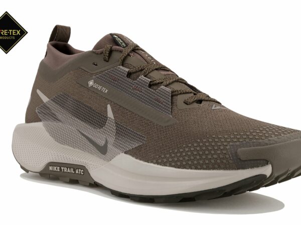 Nike Pegasus Trail 5 Gore-Tex Chaussures homme déstockage