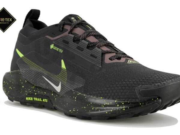 Nike Pegasus Trail 5 Gore-Tex