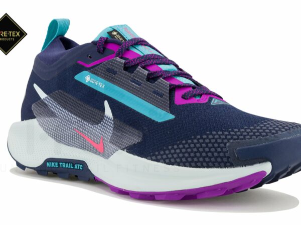 Nike Pegasus Trail 5 Gore-Tex Chaussures homme