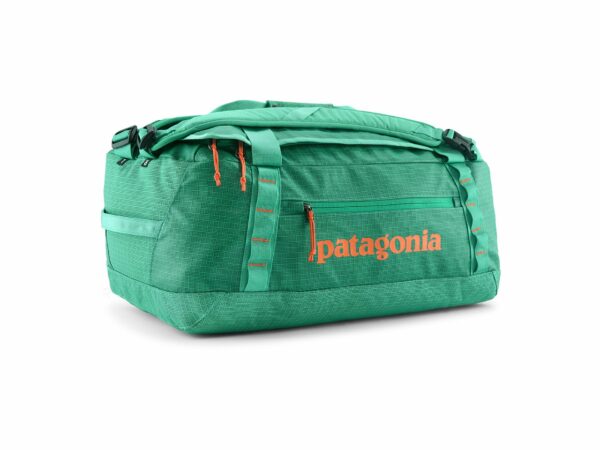 Patagonia Black Hole Duffel 40L Sac de sport