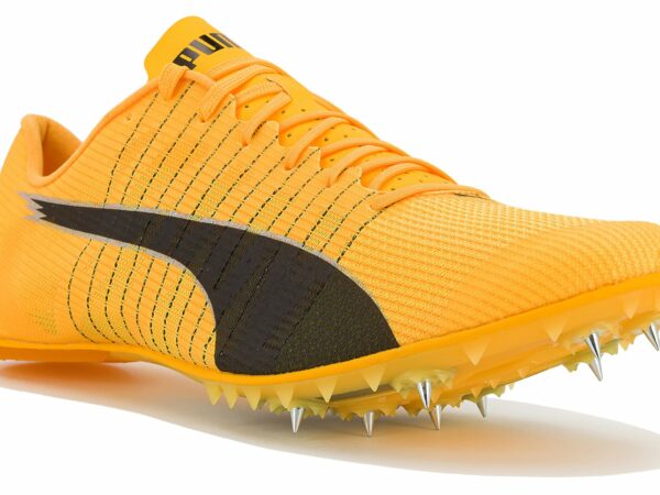 Puma evoSPEED Future 6