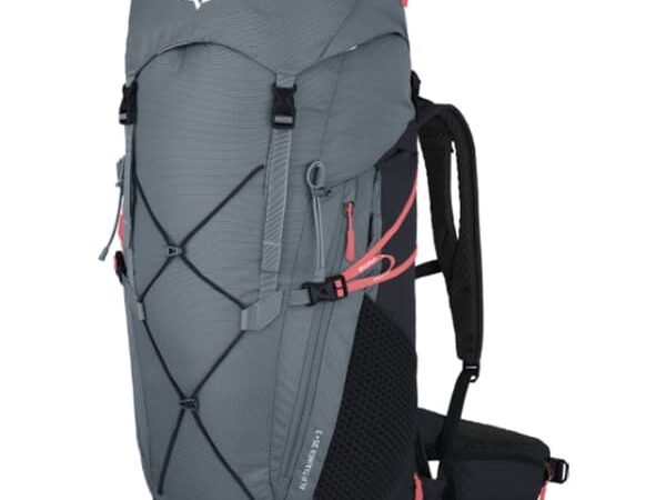 SALEWA ALP TRAINER 35+3