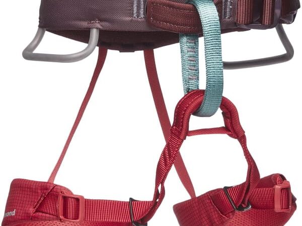 BLACK DIAMOND MOMENTUM HARNESS KIDS'