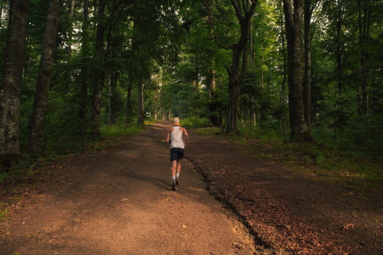 Coureur de trail sur un chemin naturel vallonné en début d’été, dans l’esprit du Trail du Saint-Jacques.