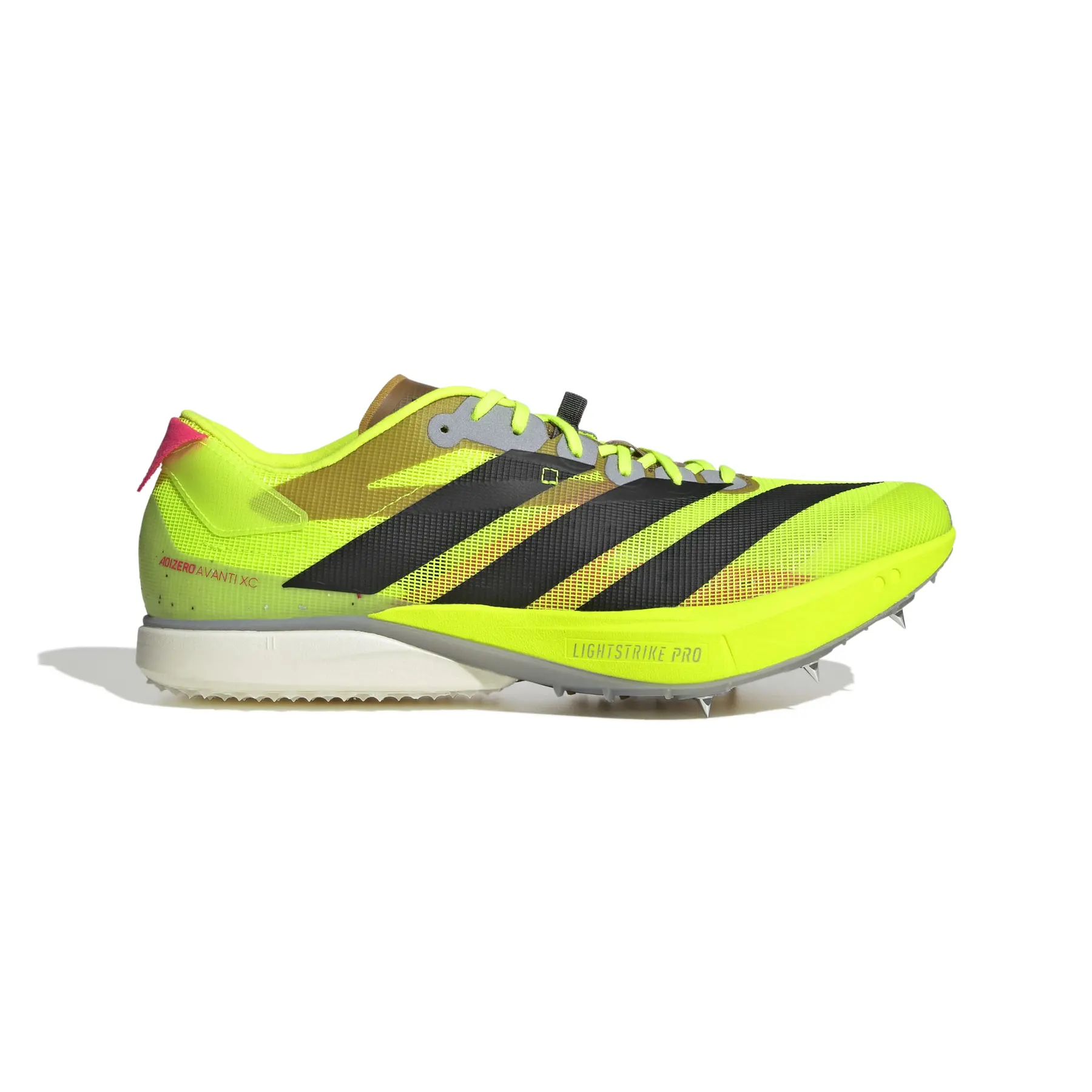 Chaussures d'athlétisme adidas Adizero Avanti Xc