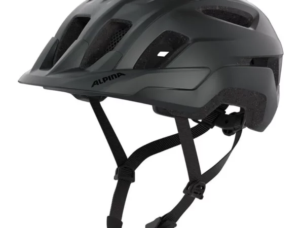 Casque Alpina Paranus Mips