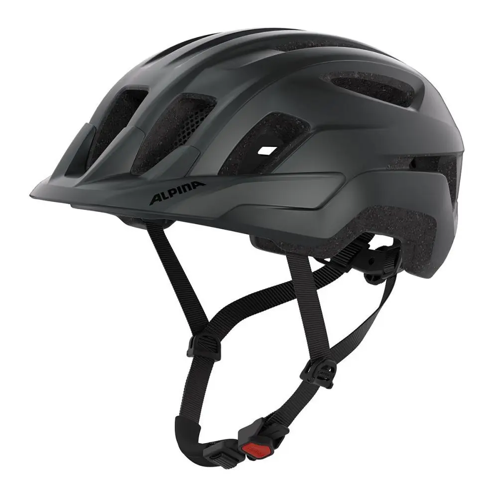 Casque Alpina Paranus Mips